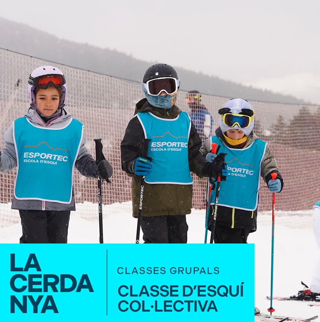COURS COLLECTIF DE SKI ALPIN (3H)